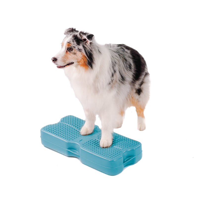 Propel Air Platform Kit - Turquoise