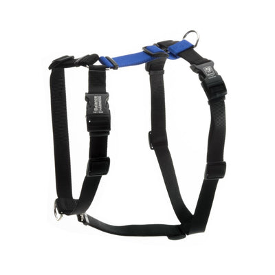 Balance Harness