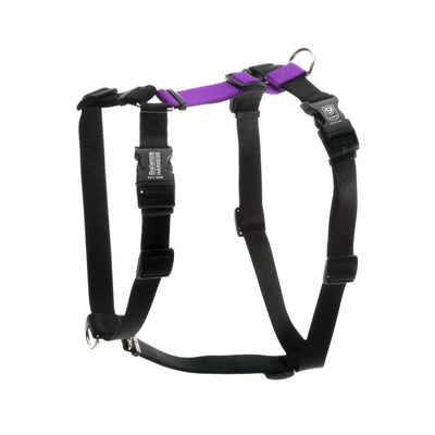 Balance Harness
