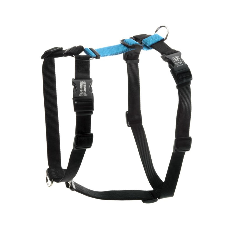 Dog leads discount and harnesses