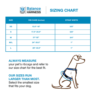 Balance Harness