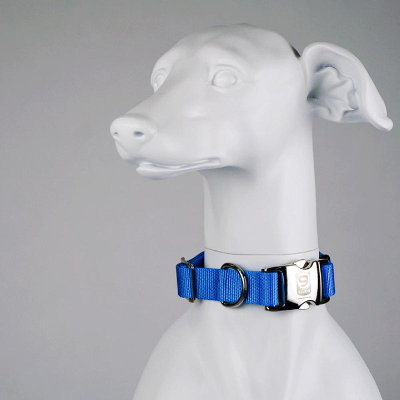 Dog Collar Blue