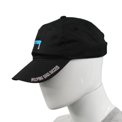 KLIMB Dad Hat