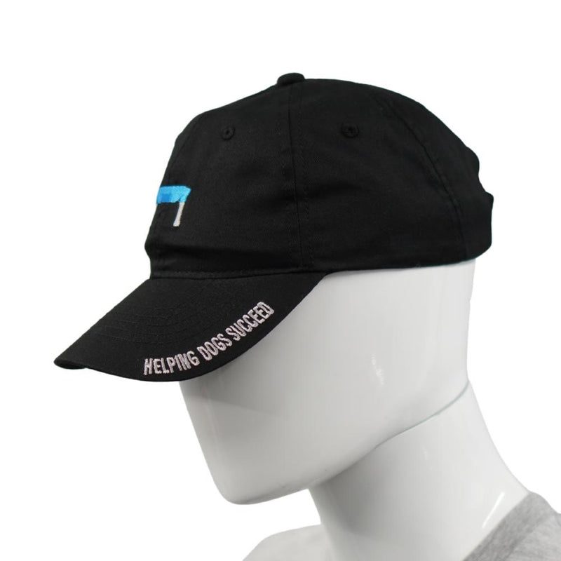 KLIMB Dad Hat