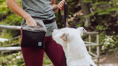 INSPIRE Training Treat Pouch