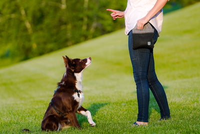 INSPIRE Training Treat Pouch