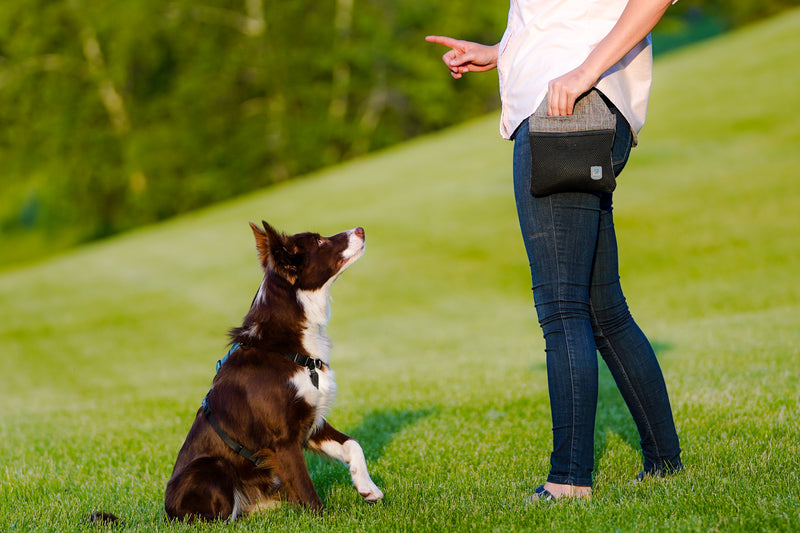 INSPIRE Training Treat Pouch