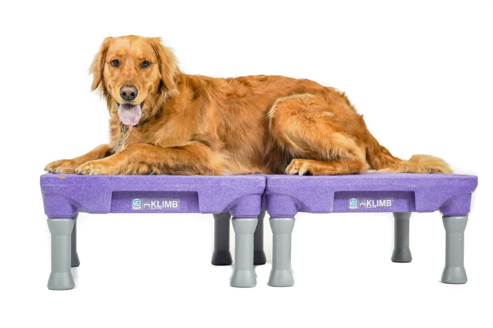 KLIMB Dog Training System Award winning Canine Training Platform Blue 9 Pet Products