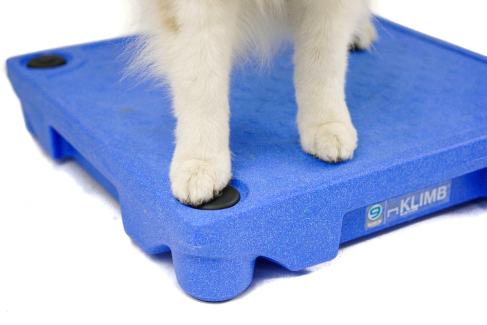 KLIMB® Sure Feet | Get a Grip on Your Dog Training – Blue-9 Pet