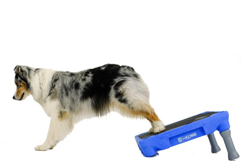 Dog klimb hotsell