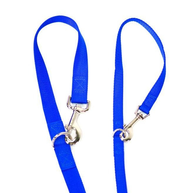 Multi-Function Leash