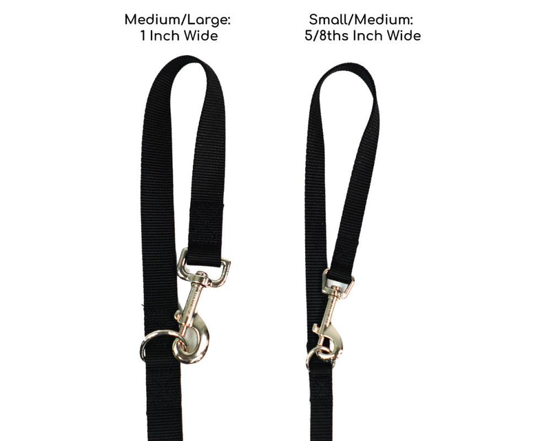Multi-Function Leash