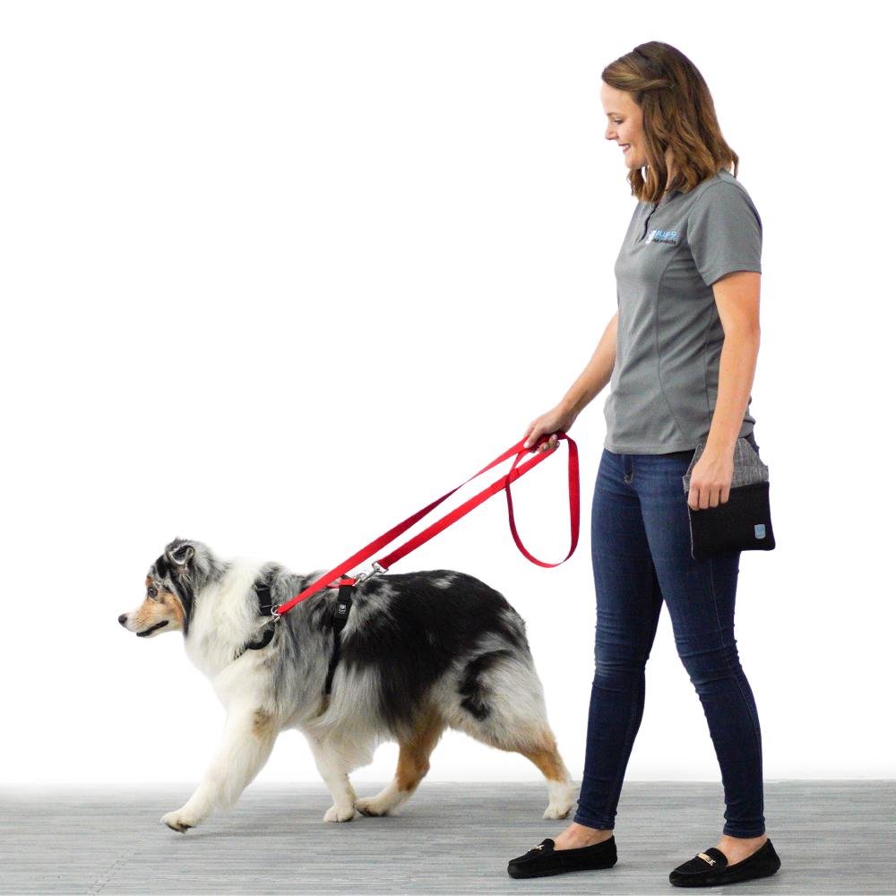 Multi dog leash deals