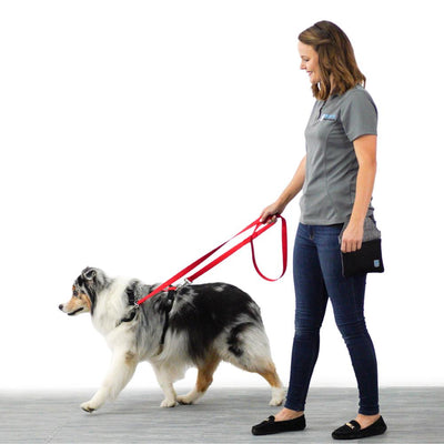 Multi-Function Leash