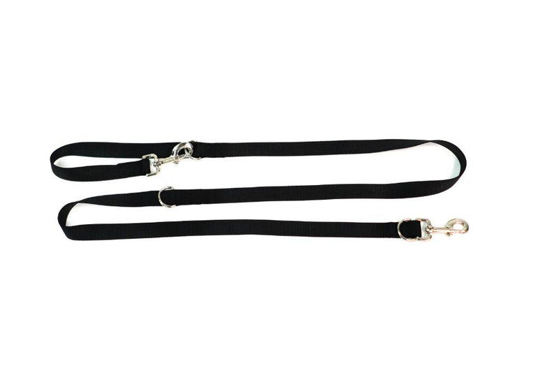 Multi-Function Leash