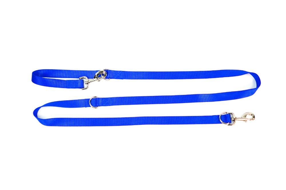 Blue dog on sale leash