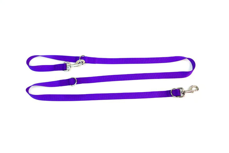 Multi-Function Leash