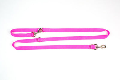 Multi-Function Leash