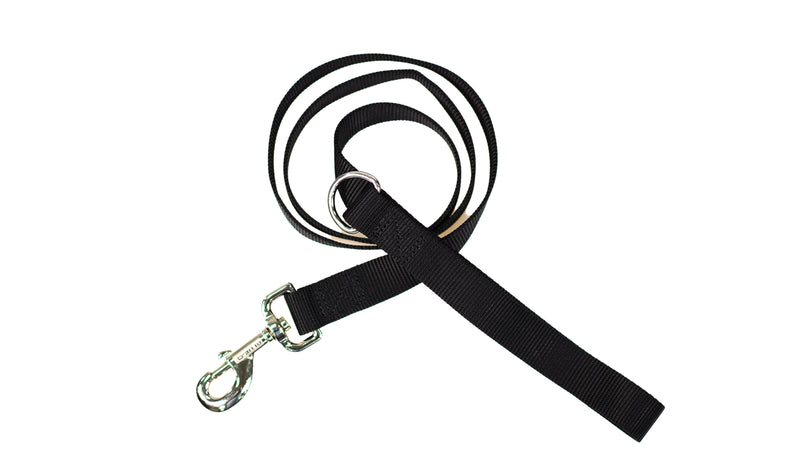LEAD 4ft Leash