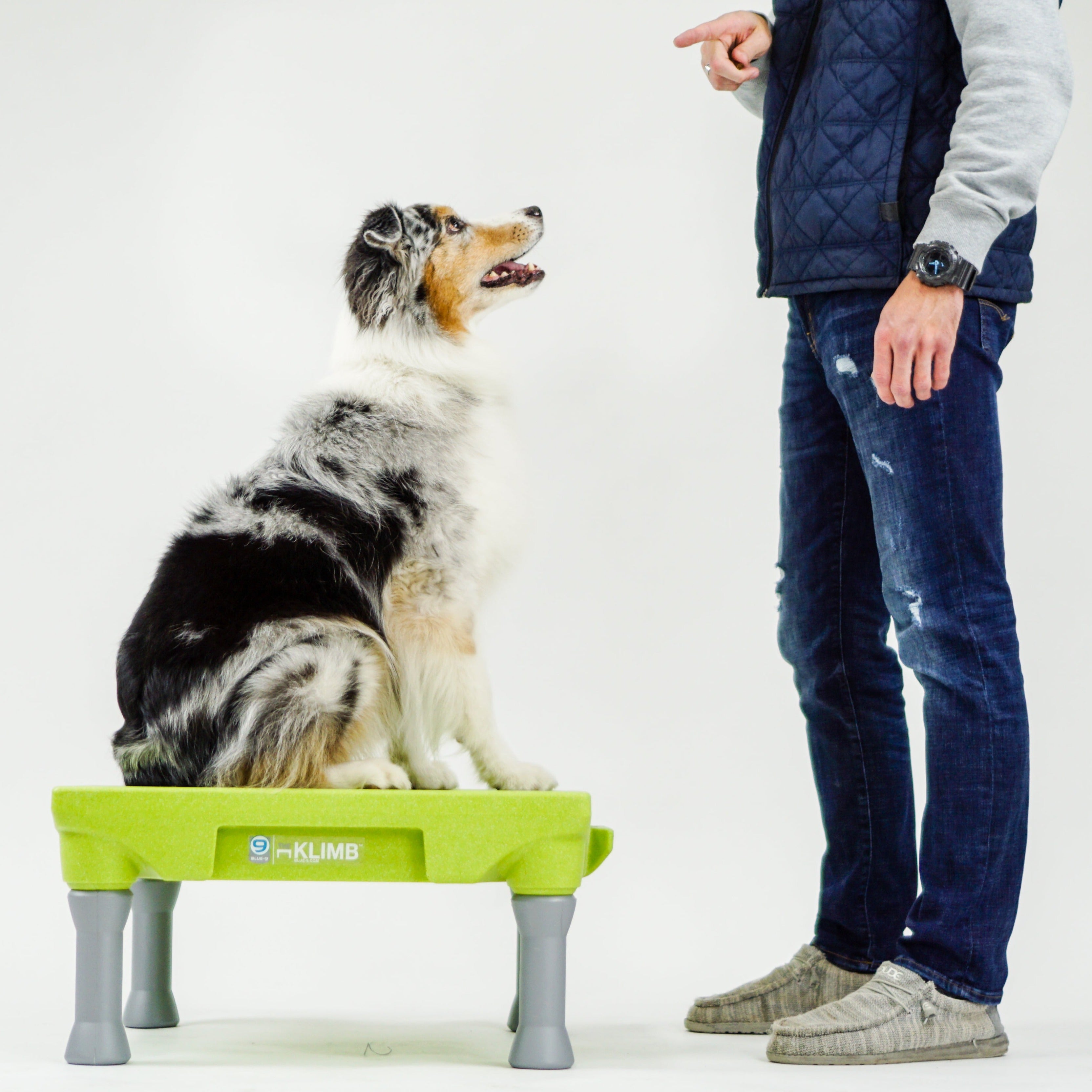 KLIMB Dog Training System Award winning Canine Training Platform Blue 9 Pet Products