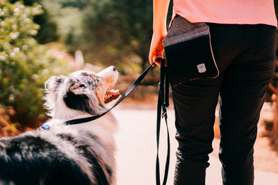 INSPIRE Training Treat Pouch