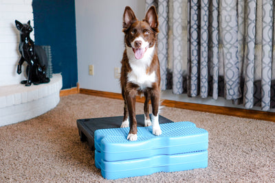 Propel Air Platform