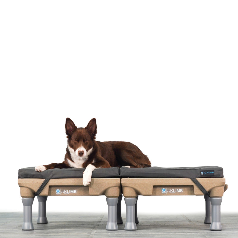 Restore+ Double Dog Bed