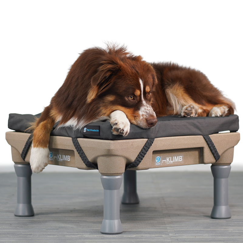Restore Dog Bed